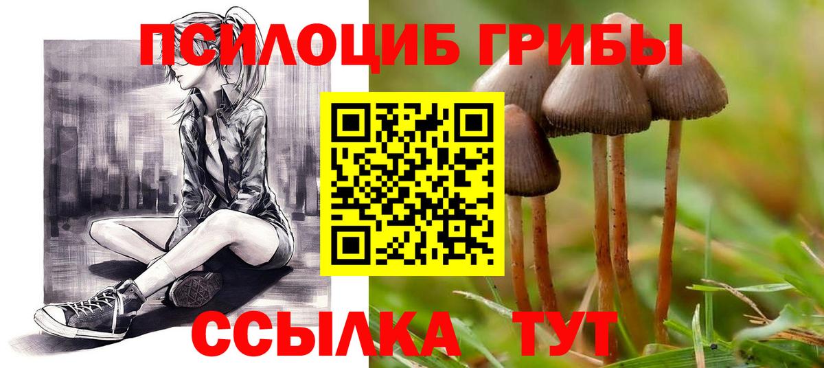 Галлюциногенные грибы Magic Shrooms Нефтеюганск