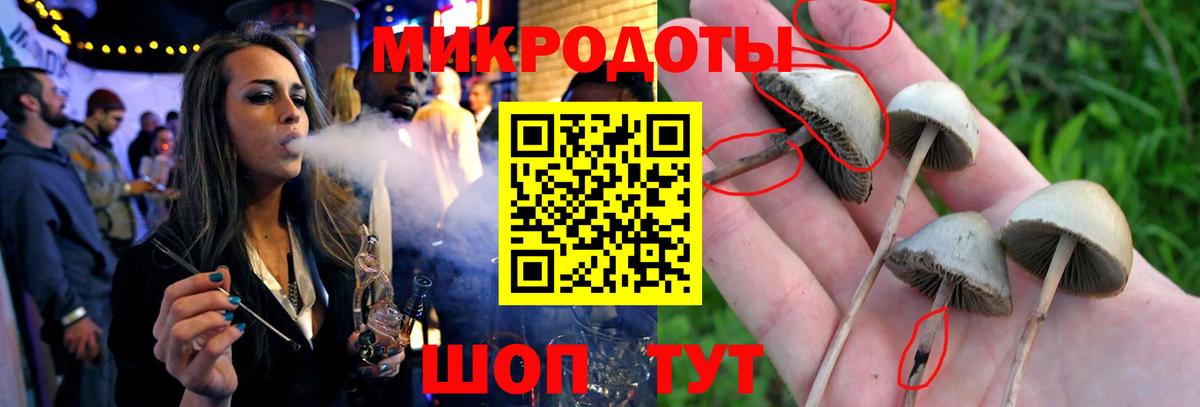 Галлюциногенные грибы GOLDEN TEACHER  дарнет шоп  Нефтеюганск  Вход с VPN 